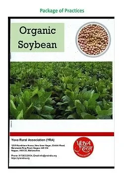Organic Soyabean